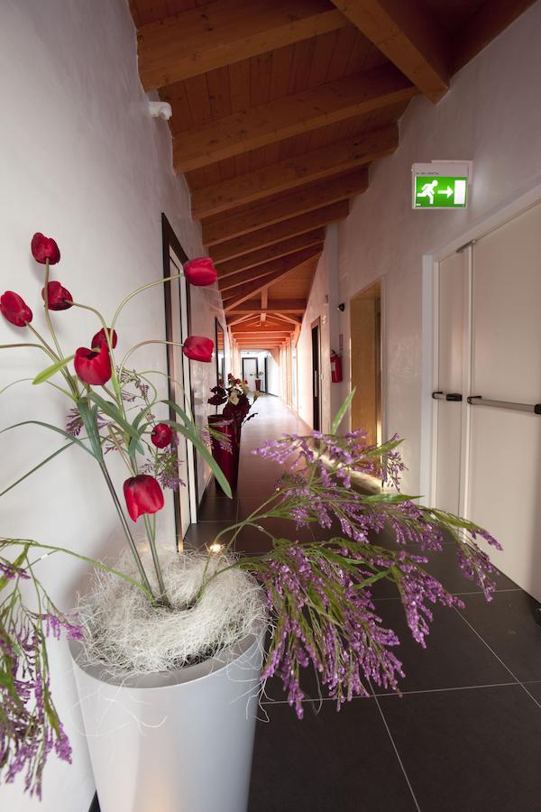 Hotel Eridano Sannazzaro de' Burgondi Exteriér fotografie